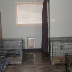 dog-crates-interior