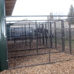 exterior-dog-kennels