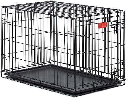 crate-cage-chewy