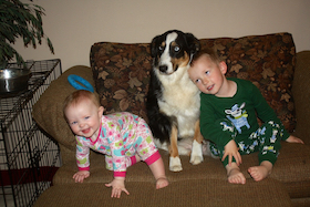 kids-with-aussies kids-with-aussies