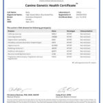 Bella 7484_19526_Canine_Genetic_Health_Certificate_13_01_2016