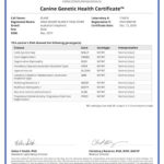 Blake 50194_114416_Canine_Genetic_Health_Certificate_13_12_2018