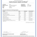 Heidi 7484_19527_Canine_Genetic_Health_Certificate_13_01_2016