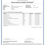 Izzy 8951_21159_Canine_Genetic_Health_Certificate_07_03_2016