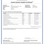 Lulu 10147_25718_Canine_Genetic_Health_Certificate_15_04_2016