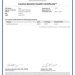 Maui 29307_67271_Canine_Genetic_Health_Certificate_03_11_2017