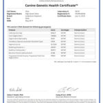 Odie 42064_96181_Canine_Genetic_Health_Certificate_12_07_2018