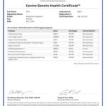 Prim 18792_44221_Canine_Genetic_Health_Certificate_25_02_2017