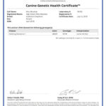 Meadow 42064_96183_Canine_Genetic_Health_Certificate_12_07_2018
