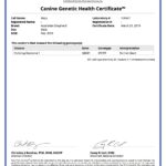 Mojo Genetic_Health_Certificate_Amended_21_03_2019