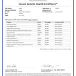 Adelaide _Canine_Genetic_Health_Certificate_05_06_2019