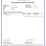 Prada 54114_123029_Canine_Genetic_Health_Certificate_18_02_2019