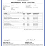Winsten Canine_Genetic_Health_Certificate_16_01_2020