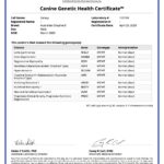 Galaxy_Genetic_Health_Certificate_23_04_2020