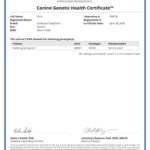 Pixie Canine_Genetic_Health_Certificate_28_04_2020