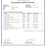 Annika_Canine_Genetic_Health_Certificate_02_09_2020
