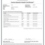 Sage Onyx_Canine_Genetic_Health_Certificate_26_01_2022