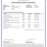 137945_304383_Canine_Genetic_Health_Certificate_12_05_2022