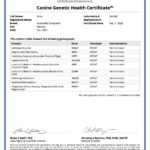 Echo_Canine_Genetic_Health_Certificate_01_02_2022