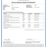 Gaia 133202_280477_Canine_Genetic_Health_Certificate_08_03_2022