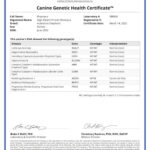 RHAENYRA Canine_Genetic_Health_Certificate_14_03_2023