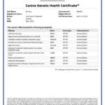 201323_444423_Canine_Genetic_Health_Certificate_10_04_2024