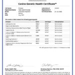 Khaleesie_Canine_Genetic_Health_Certificate_26_01_2022
