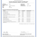 Mojo Canine_Genetic_Health_Certificate_17_04_2019