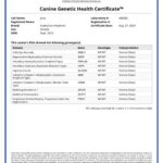 Juno_Canine_Genetic_Health_Certificate_27_08_2024