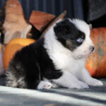 IMG_1723 IMG_1723