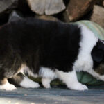 IMG_1728 IMG_1728