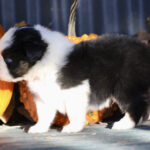 IMG_1755 IMG_1755