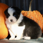 IMG_1763 IMG_1763