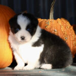 IMG_1768 IMG_1768