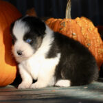 IMG_1776 IMG_1776
