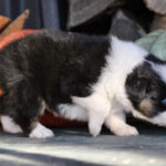 IMG_1790 IMG_1790