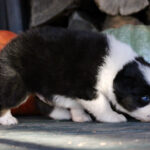 IMG_1791 IMG_1791