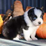 IMG_1802 IMG_1802