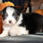 IMG_1819 IMG_1819