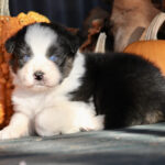 IMG_1820 IMG_1820
