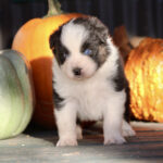 IMG_1848 IMG_1848