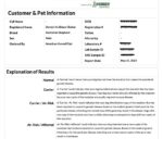 AKC DNA Program Customer & Pet Information form with dog details and test-result explanations on a two-column layout.