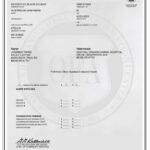 Orthopedic Foundation of Animals preliminary elbow dysplasia evaluation report form with owner and veterinary details and a large seal watermark in the background