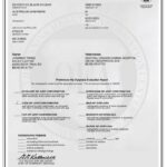 Orthopedic Foundation for Animals Preliminary Hip Dysplasia Evaluation Report certificate with dog and owner details visible in a bordered document image.