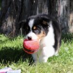 IMG_4747