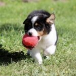 IMG_4752