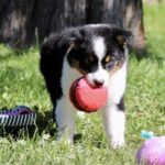 IMG_4757