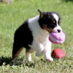 IMG_4777