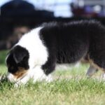 IMG_4835