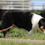 IMG_4846